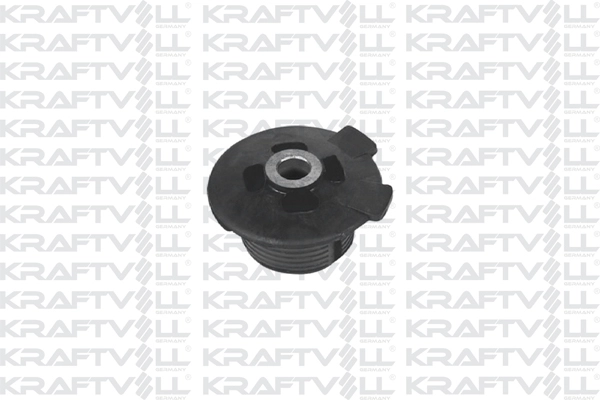 Bushing, axle beam (10050206)