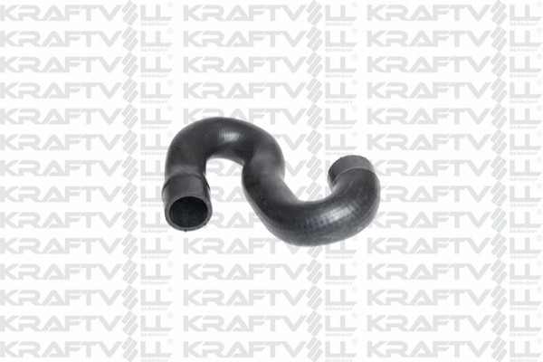 Radiator Hose (10032078)