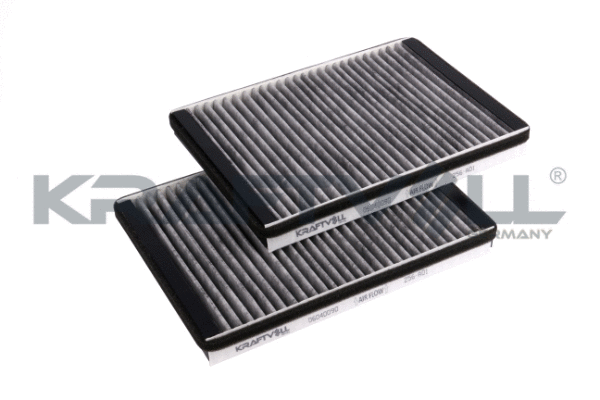 Filter, cabin air (06040090)