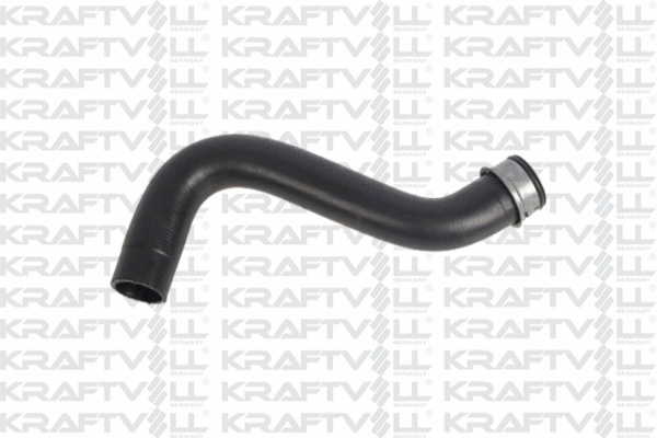 Radiator Hose (10030994)