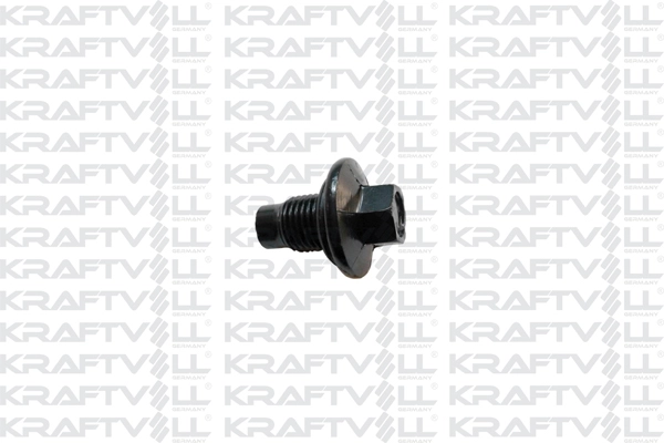 Screw Plug, oil sump (21030475)