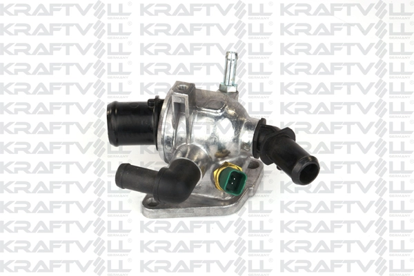 Thermostat, coolant (08100099)
