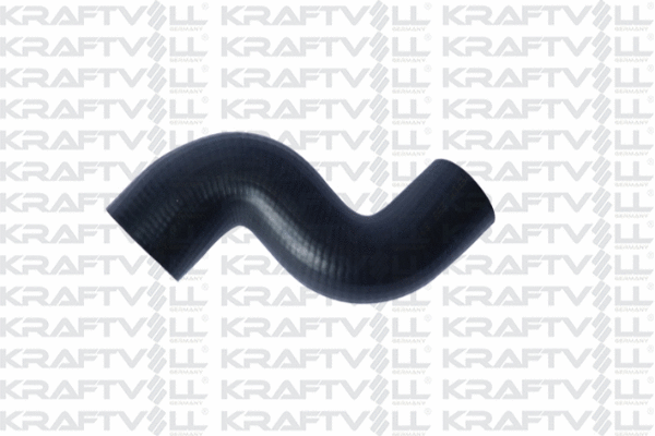 Radiator Hose (10030911)