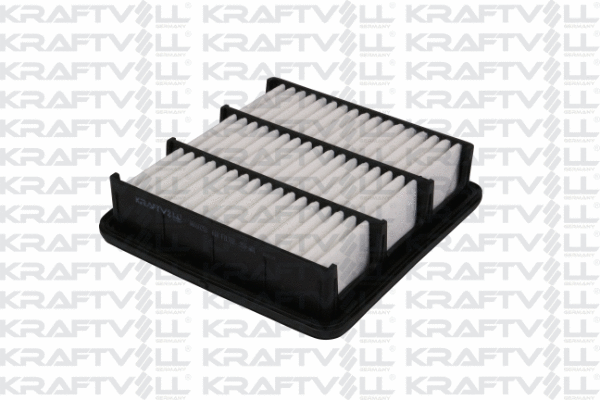 Air Filter (06010258)