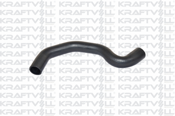 Radiator Hose (10030967)