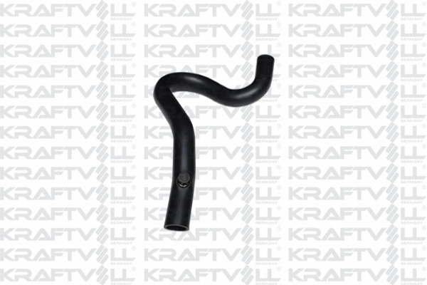 Radiator Hose (10031675)