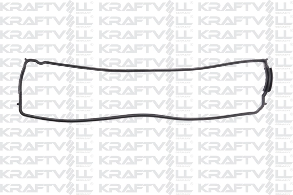 Gasket, cylinder head cover (12010162)