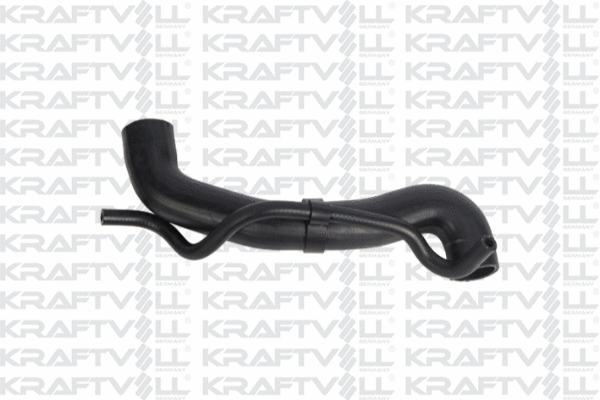 Radiator Hose (10031893)