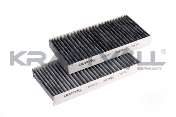 Filter, cabin air (06040098)