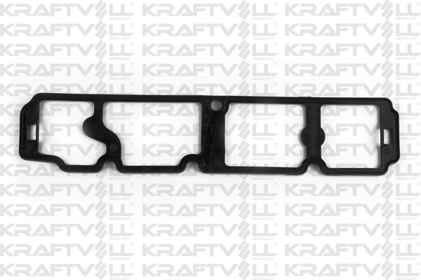 Gasket, cylinder head cover (12010075)