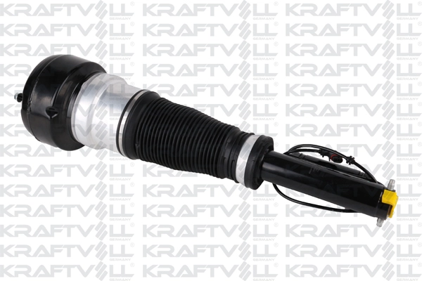 Air Suspension Strut (15060043)