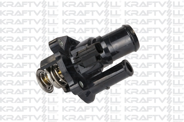 Thermostat, coolant (08100008)