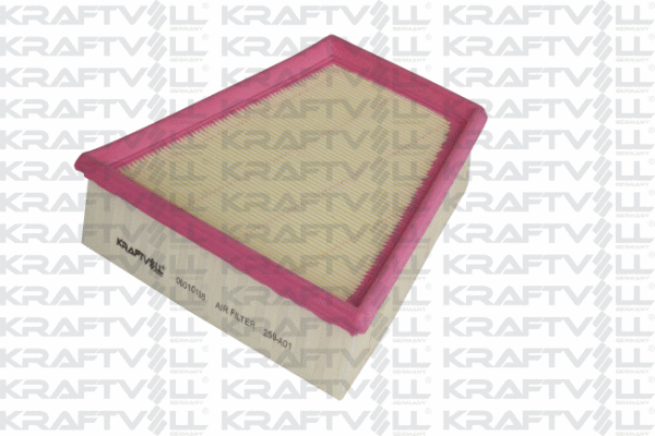 Air Filter (06010198)
