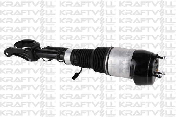 Air Suspension Strut (15060039)