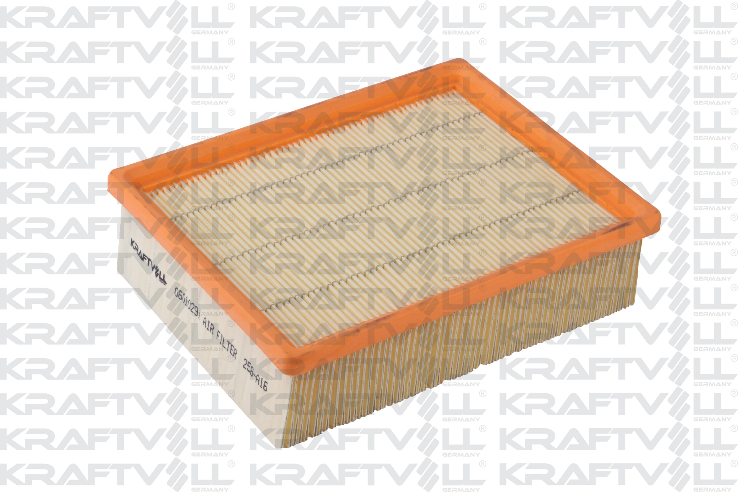 Air Filter (06010291)