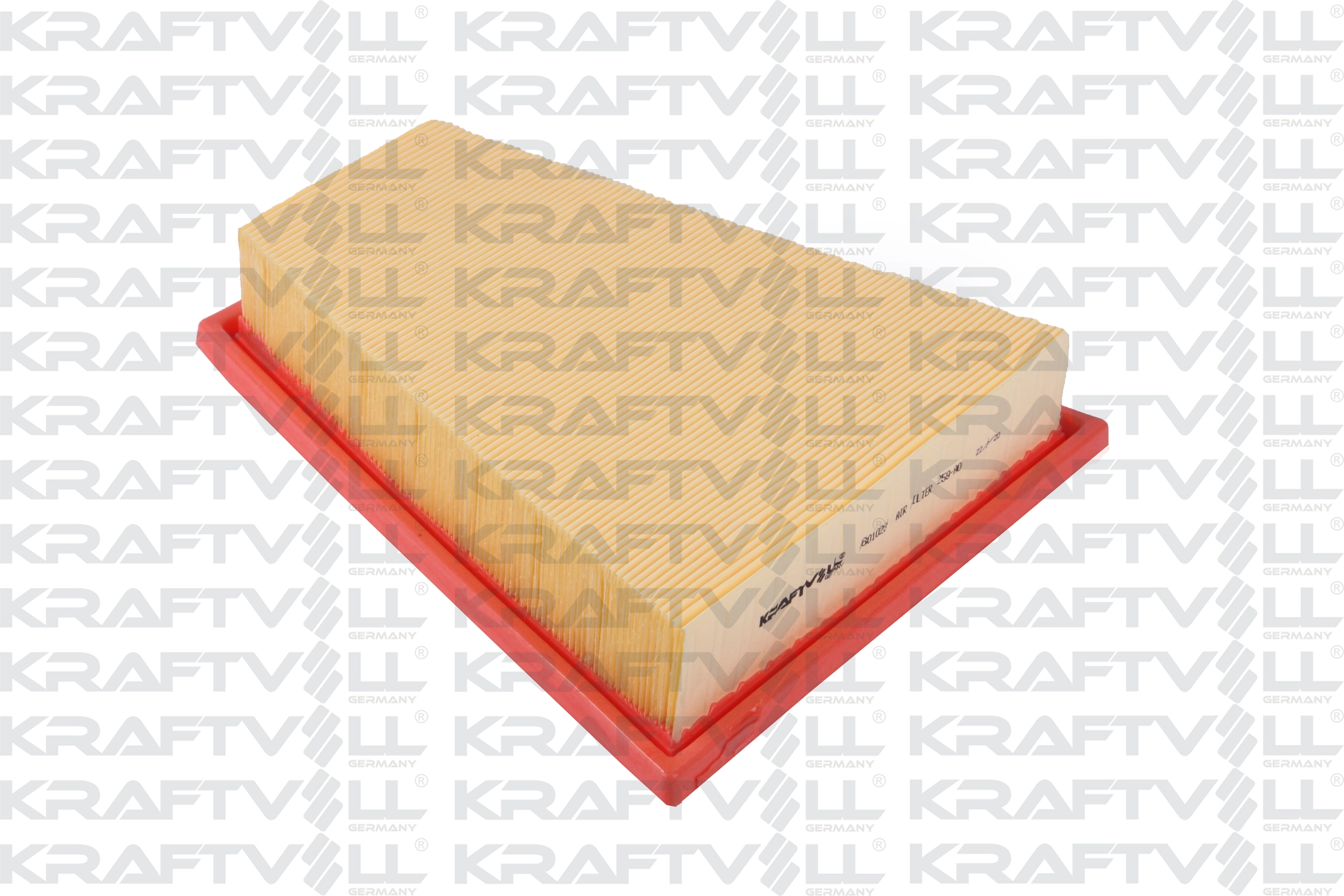 Air Filter (06010238)
