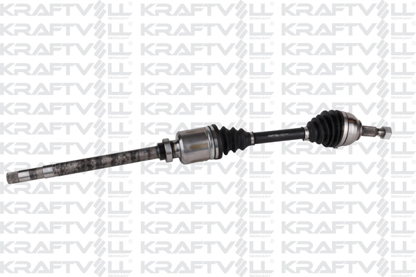 Drive Shaft (01010361)