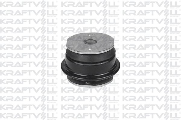 Bushing, axle beam (10010923)