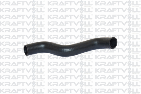 Radiator Hose (10031468)