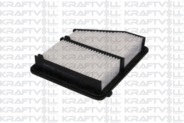 Air Filter (06010228)