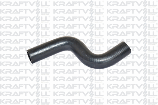 Radiator Hose (10032420)