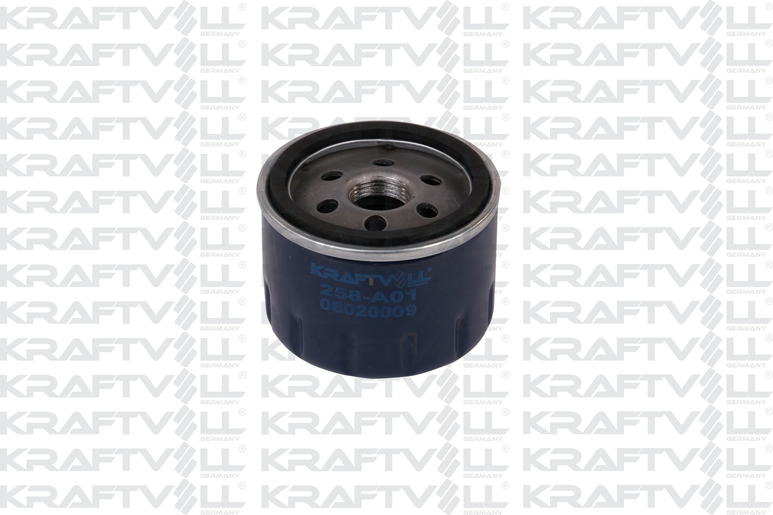 Oil Filter (06020009)