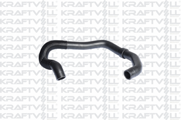 Radiator Hose (10031625)