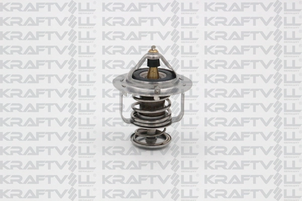 Thermostat, coolant (08110107)