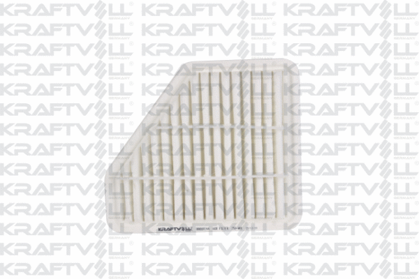 Air Filter (06010244)