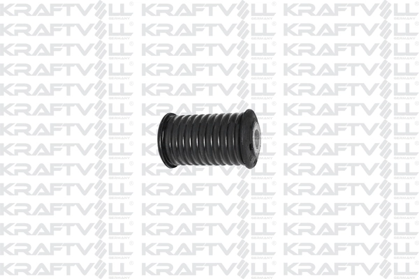 Bushing, leaf spring (10050222)