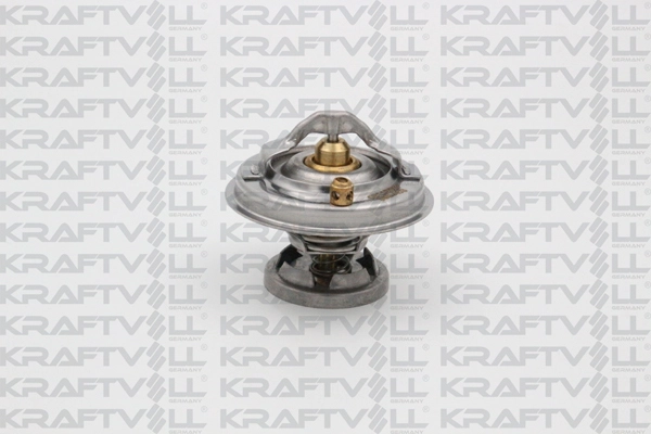 Thermostat, coolant (08110077)