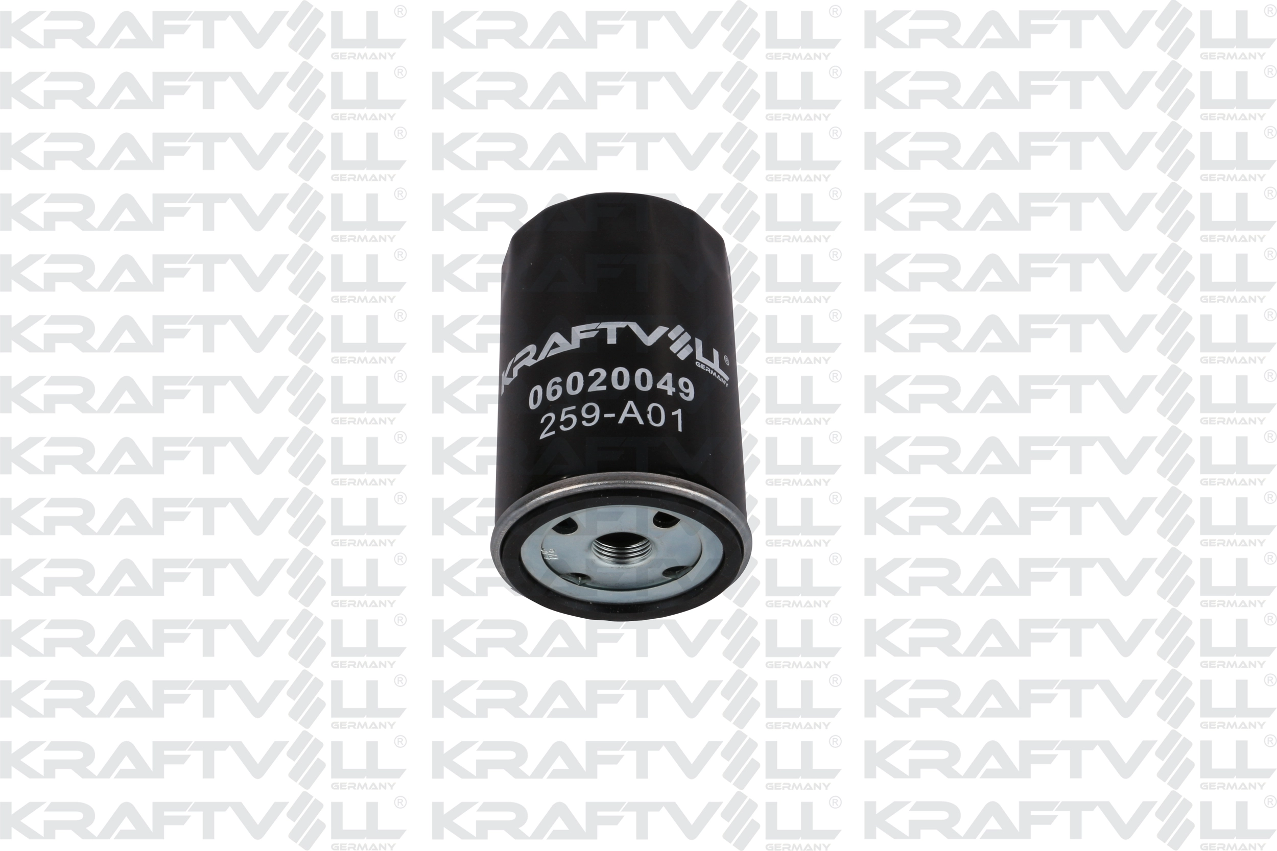 Oil Filter (06020049)