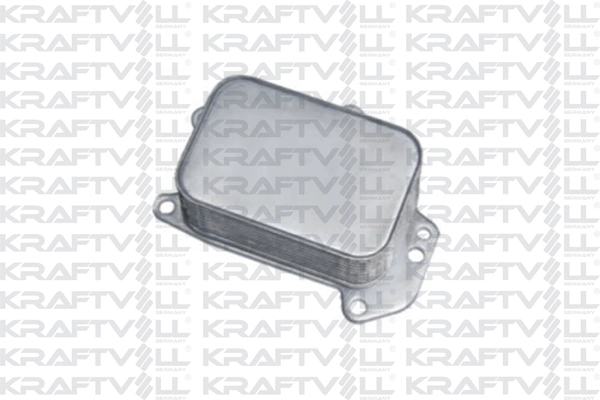 Oil Cooler, engine oil (08090307)