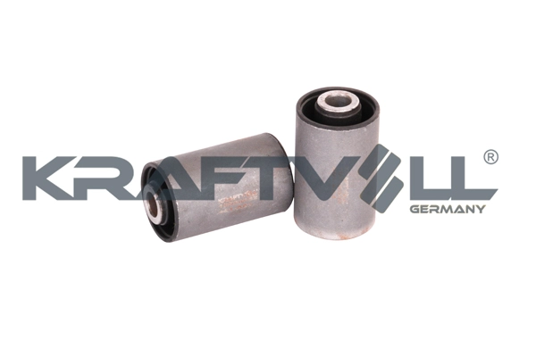 Mounting, control/trailing arm (10050052)