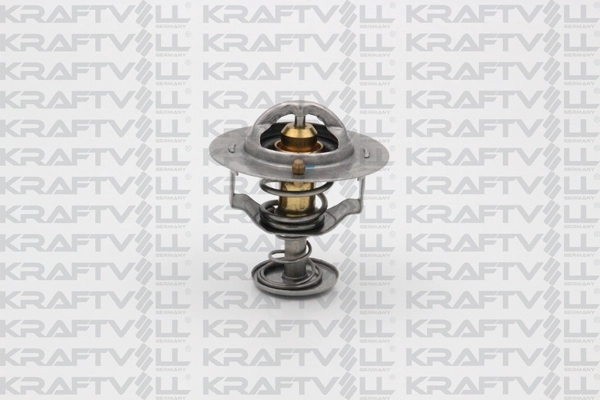 Thermostat, coolant (08110065)
