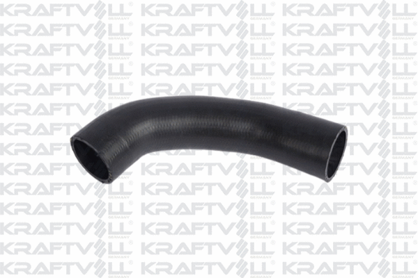 Charge Air Hose (10031494)