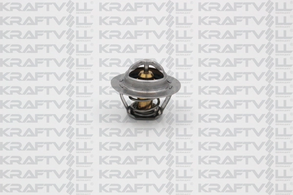 Thermostat, coolant (08110080)