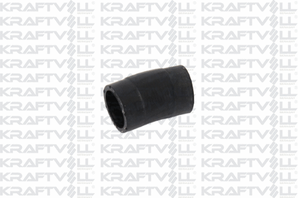 Radiator Hose (10031735)