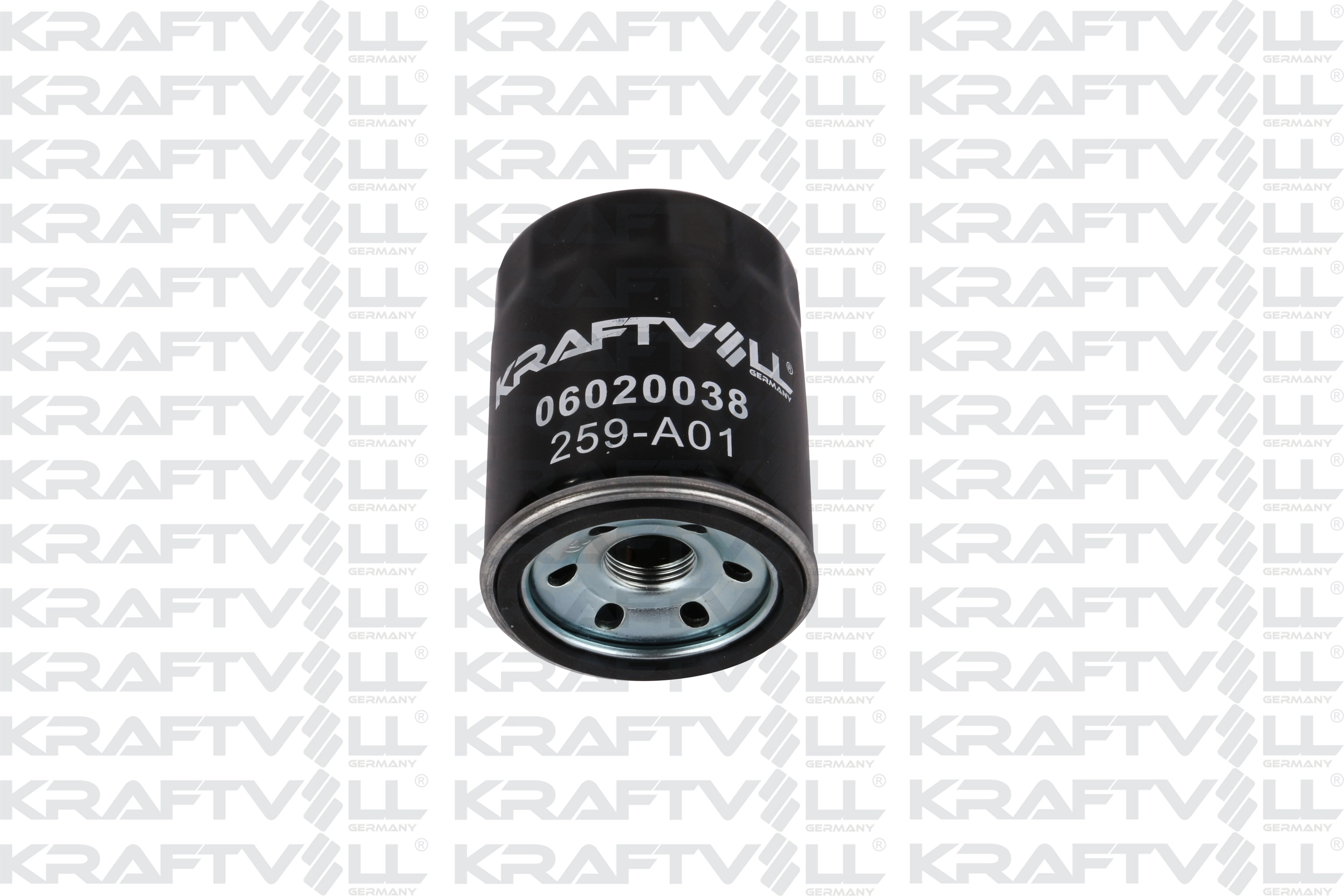 Oil Filter (06020038)