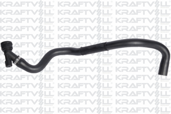 Radiator Hose (10031306)