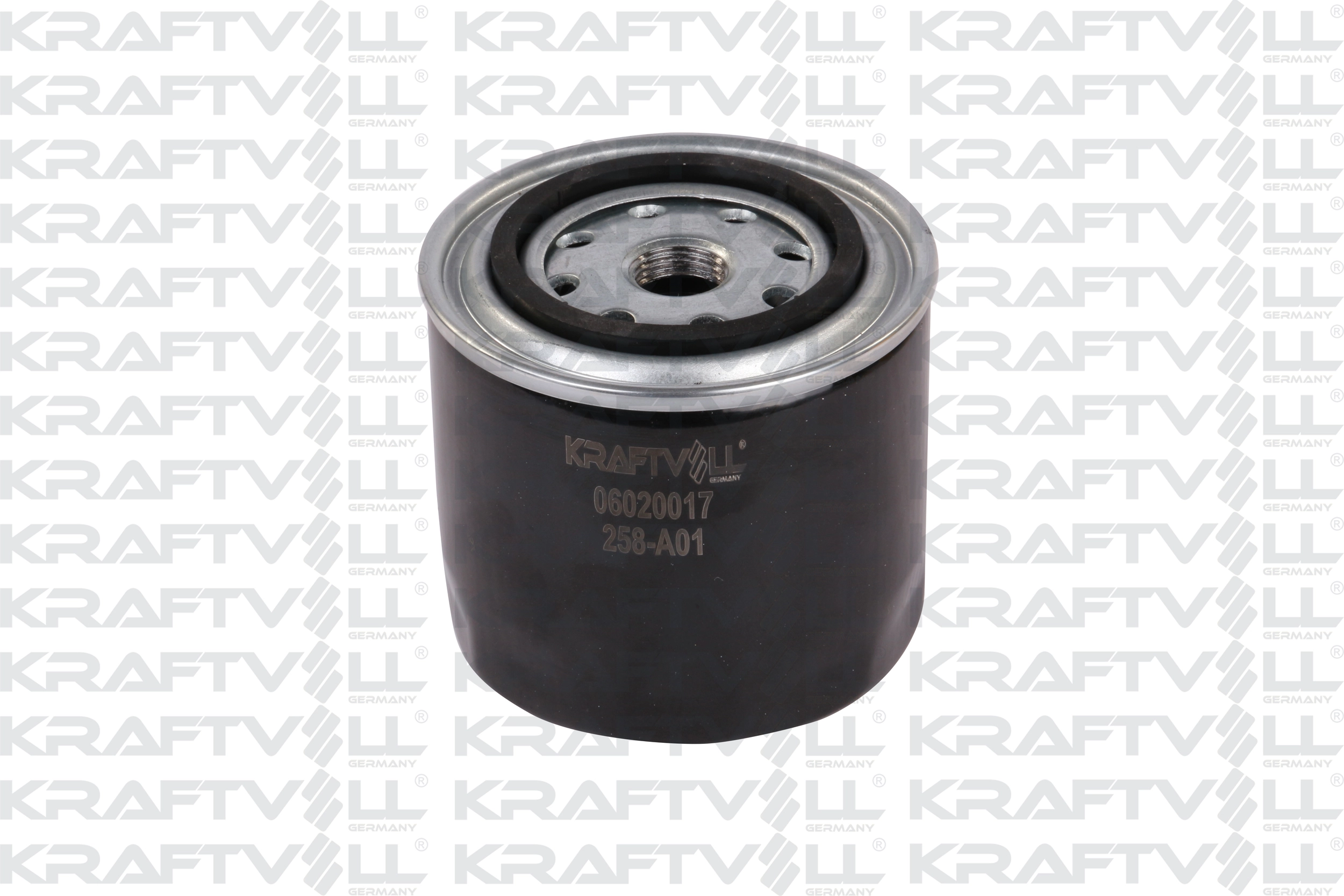 Oil Filter (06020017)