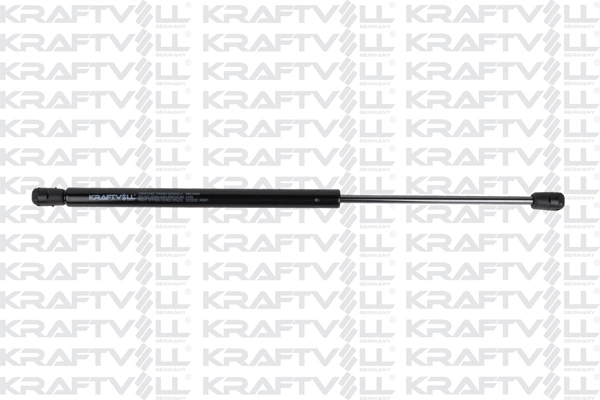 Gas Spring, boot/cargo area (09010394)