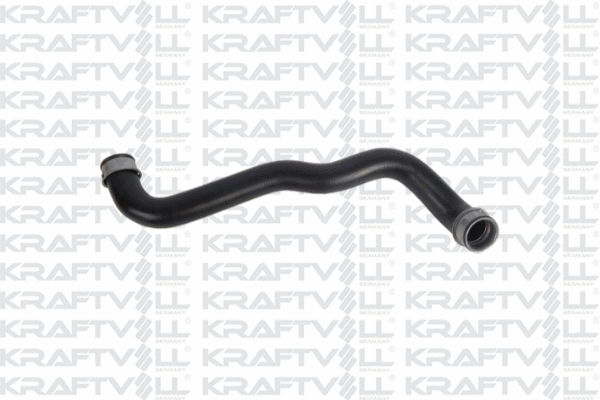 Radiator Hose (10031966)
