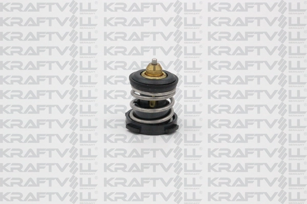 Thermostat, coolant (08110066)