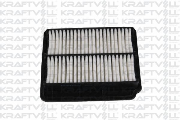 Air Filter (06010236)