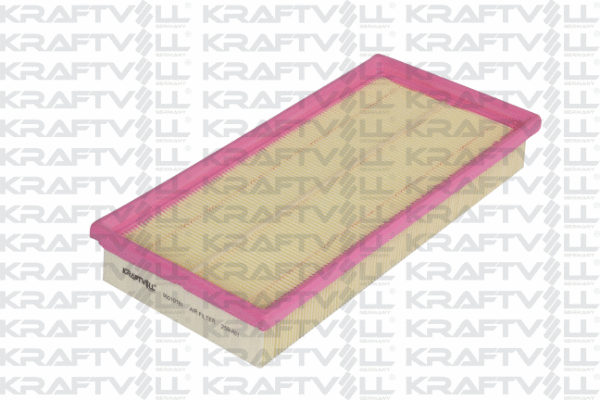 Air Filter (06010181)