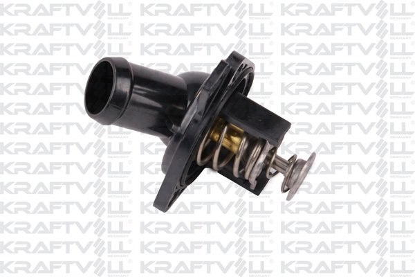 Thermostat, coolant (08100148)