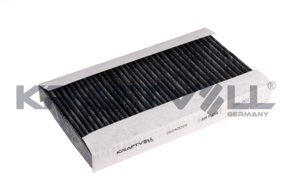 Filter, cabin air (06040099)