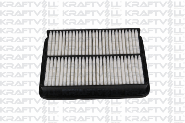 Air Filter (06010250)