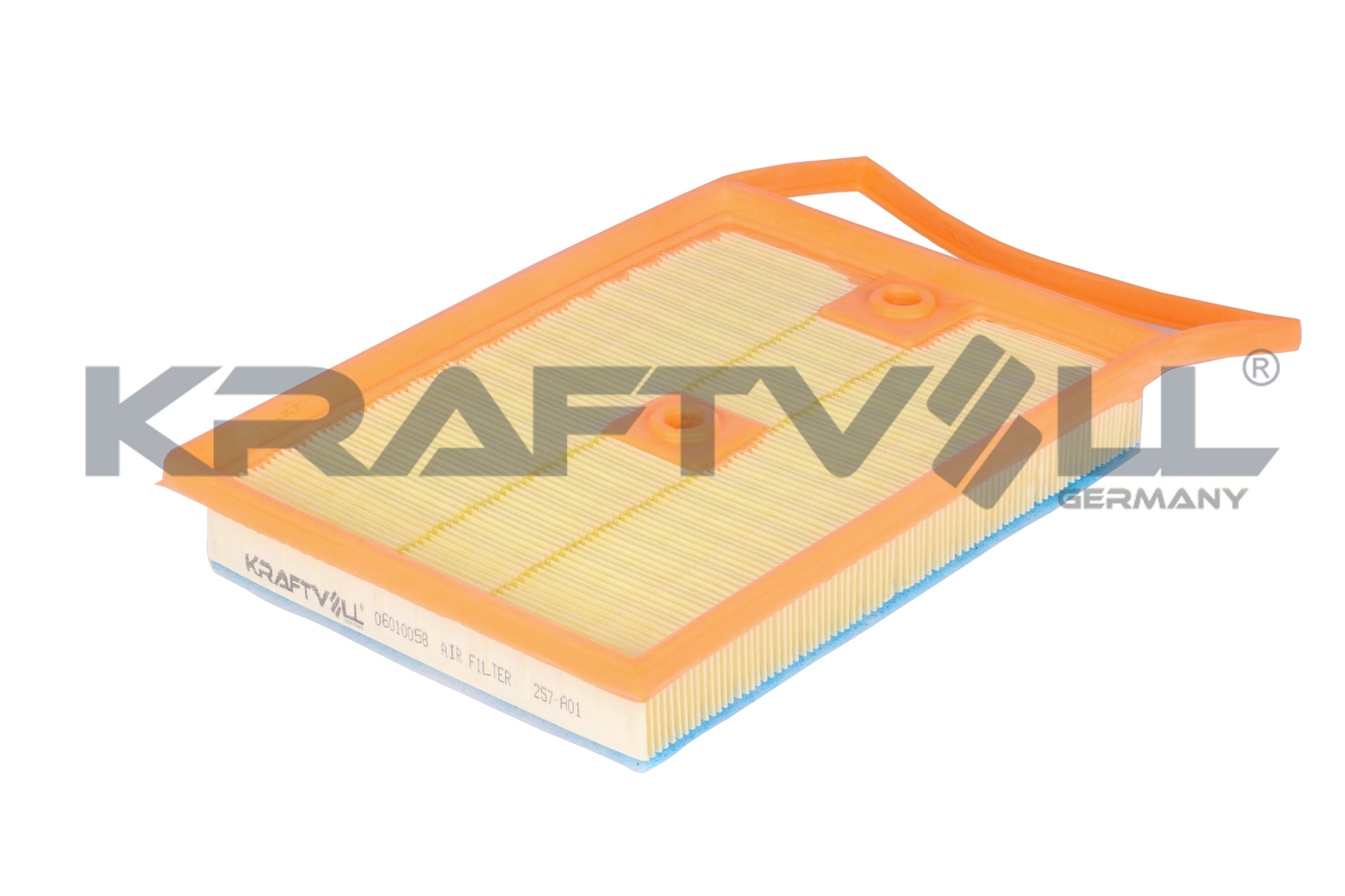 Air Filter (06010058)